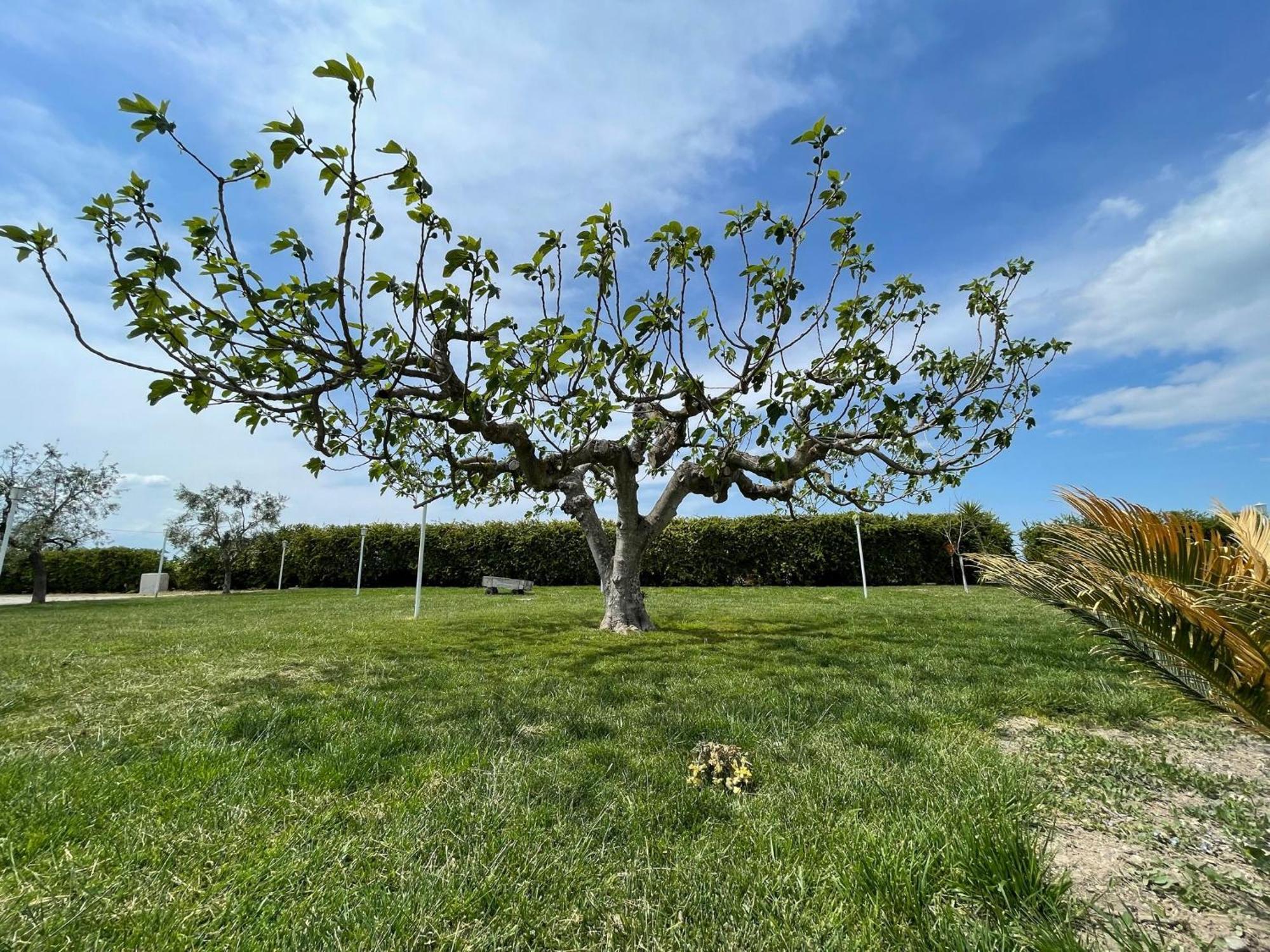 La Massaria Agriresort Orta Nova Kültér fotó