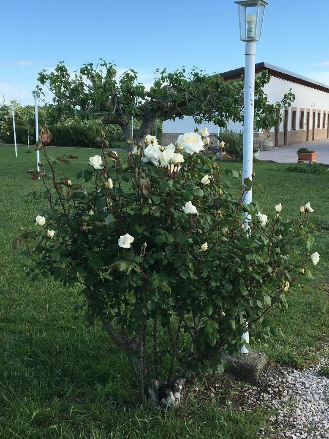 La Massaria Agriresort Orta Nova Kültér fotó